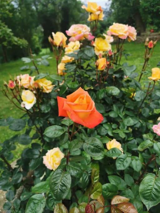La Flor De Toranzo "Vive Los Valles Pasiegos" Prases Zewnętrze zdjęcie
