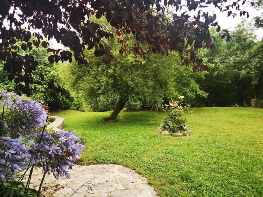 La Flor De Toranzo "Vive Los Valles Pasiegos" Prases Zewnętrze zdjęcie