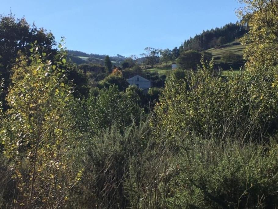 La Flor De Toranzo "Vive Los Valles Pasiegos" Prases Zewnętrze zdjęcie